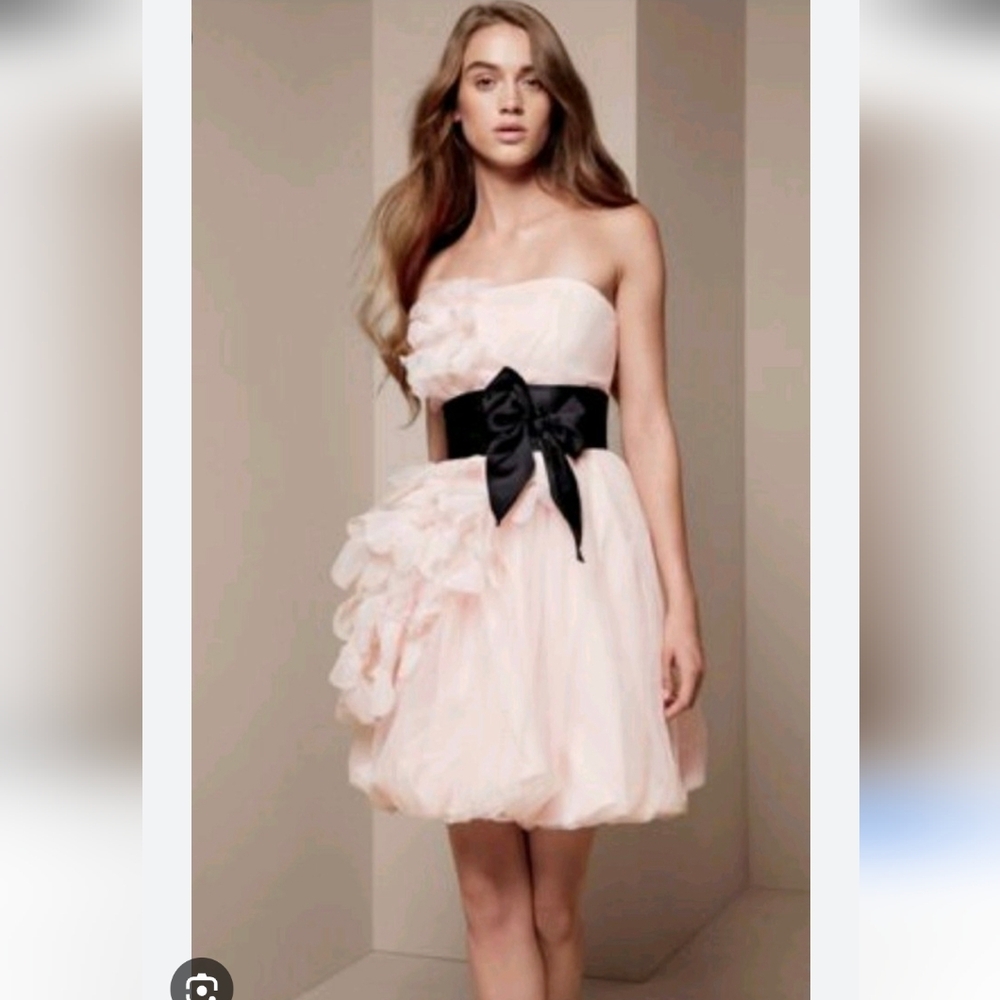 Vera Wang Organza Petal Dress in Blush With a Black Satin Sash Size 6